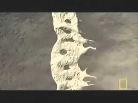 MMA COMBAT Training MAKE YOUR BODY LIKE A  ROD OF IRON