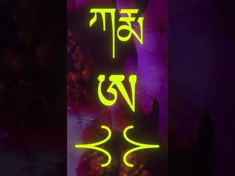 Mace - Sogni Lucidi ft. Carl Brave, Rosa Chemical SPOILER 💥