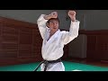 Karate How To Use Heian Nidan In A Fight Tatsuya Naka JKA