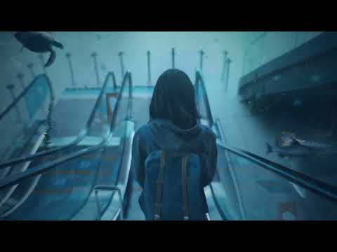 Motion Graphics