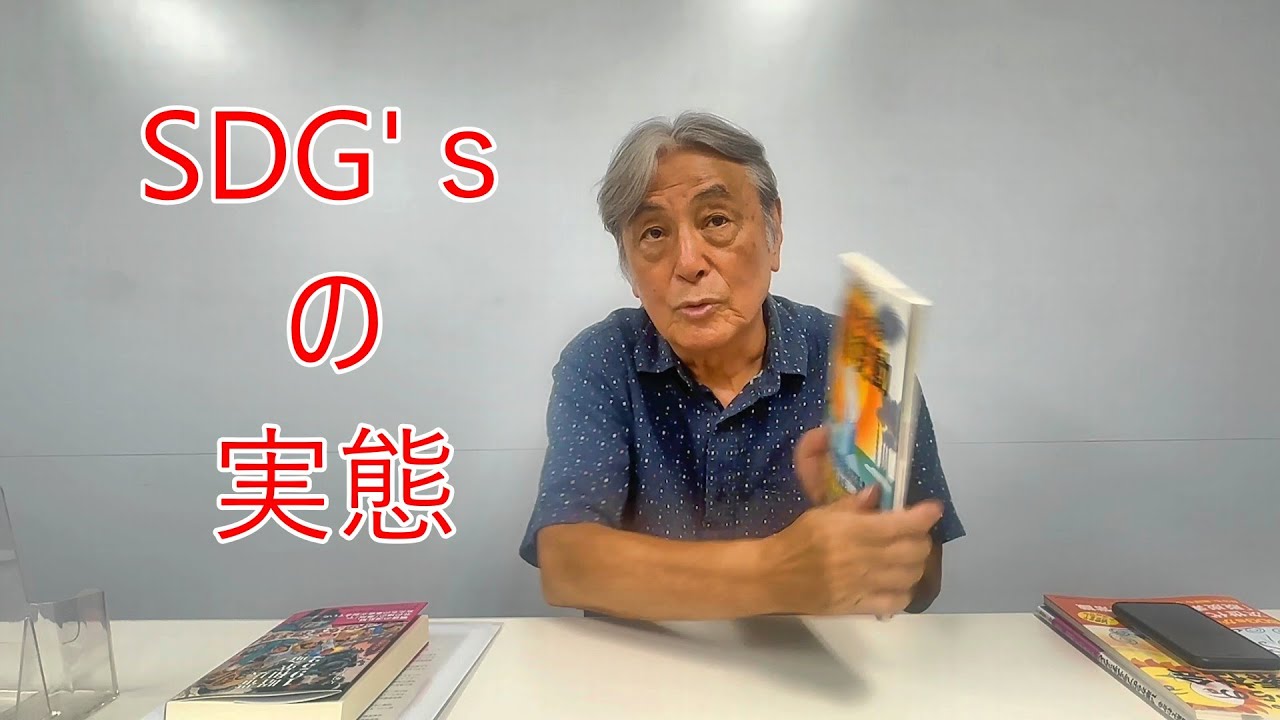 大嶋図解SDG'ｓの実態