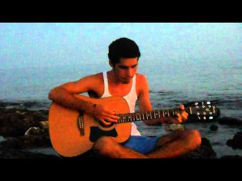 Fields of Gold - cover by Nicola Maffei