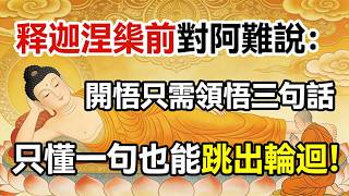 釋迦牟尼涅槃前對阿難說：開悟只需領悟三句話，哪怕只懂一句，也能跳出輪迴。#佛學 #正能量 #菩提解脫道 #佛教文化 #佛教故事 #人生感悟