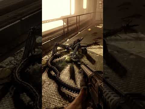 Aliens Fireteam Elite vs AVP - Xenomorph Body Removal #alien