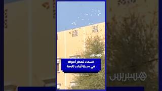 جانحان يلقيان أموالا من منزل بأولاد تايمة على المارة بعد محاولة سرقة فاشلة thumbnail