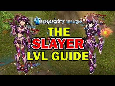 Slayer Fast Leveling Guide - Insanity Flyff
