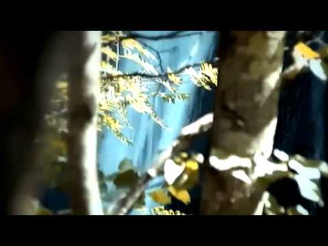 Aurica Dicusară Basarabeanca - Dacii (hora neamului)