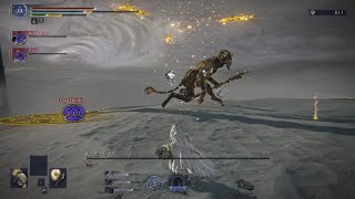 『調律の魔物』エルデンリングナイトレイン【復讐者】 #37