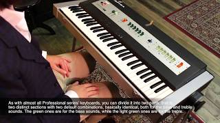 Video thumbnail for Farfisa Professional Piano - Explained by Alberto Bazzoli ITA sub ENG by L' Amor Mio Non Muore - Sala d'Incisione, Dischi