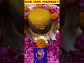 Mahadev Abhishek Status Whatsapp Mahakal Aarti Status Bholenath Shankar Rudra Shiv Mandir Om