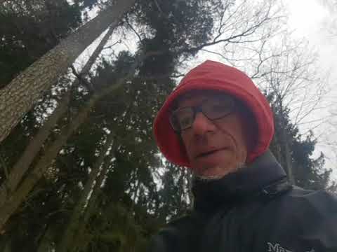 Pratpromenad i närområdet