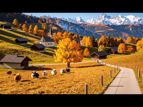 🍂 The Colors of Nature: Most Magical Golden Autumn in Switzerland 🍁✨ 4K Cinematic