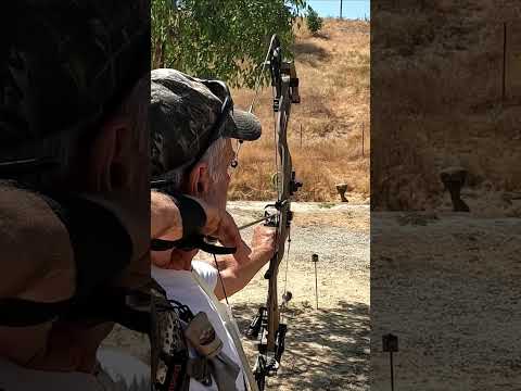 🏹 Cobra 🐍 KILL ☠️ #shorts #archery #bowandarrow #3d