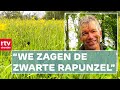 Bijzondere flora en fauna in de stromende regen | RTV Drenthe