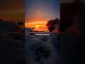Linkin Park Castle Of Glass WhatsApp Status Shorts Linkinpark