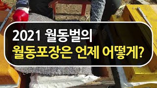 2021 월동벌의 월동포장은 언제 어떻게 하면 좋을까?
