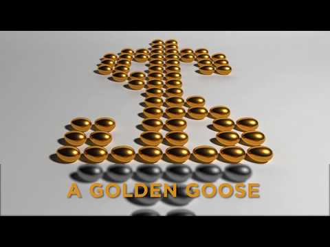 Insurance Alliance of Michigan - Customer Success Story