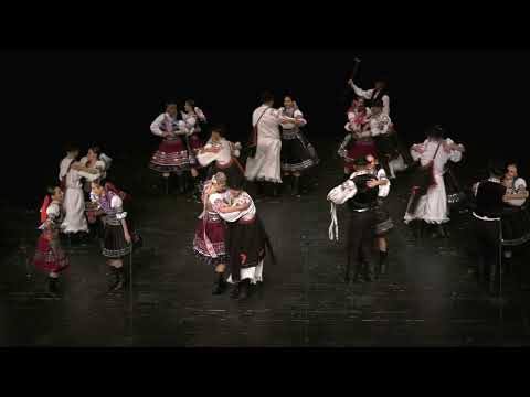 POĽANA, Technická univerzita vo Zvolene