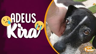 FAMLIA ERICO EST DE LUTO - FAMLIA ERICO