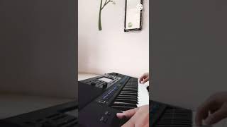 Download lagu ' SE PU LIAU ' (Richie ren) / instrument mp3