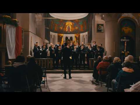 Cantores Minores - Wojenko, wojenko