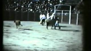 preview picture of video 'ULTIMOS TOROS EN CERVERA DE PISUERGA'