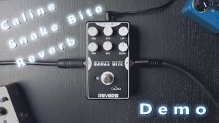 Video thumbnail for Caline Snake Bite Reverb Demo playthrough (no talking) by Rudy Bressers