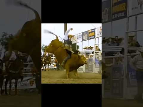 🇺🇲 Jerome Davis 🆚 Bad Bubba - 95 PBR Del Rio (84 pts)#shorts #agro #cowboys #sports #rodeo