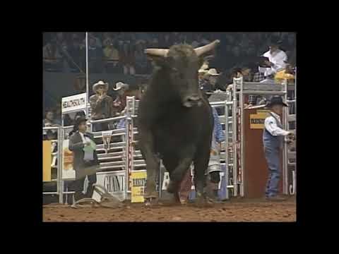 Candy Man bucks Brock Mortensen - 00 PBR Guthrie