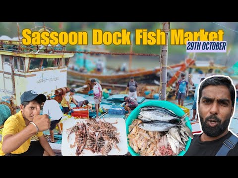 Sassoon Dock Fish Market | Colaba Wholesale Market | 29th October Fresh Seafood Prices