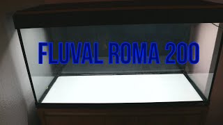 Download lagu Fluval Roma 200 review mp3 Download lagu Fluval Roma 200 review mp3