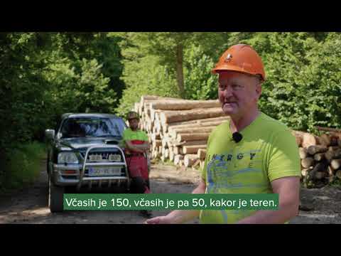 Zgodbe naših partnerjev: Siples