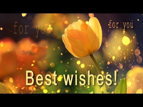 🌺🌺🌺 Best Wishes For You! 🌺🌺🌺 PARALLAX Video Greeting Cards