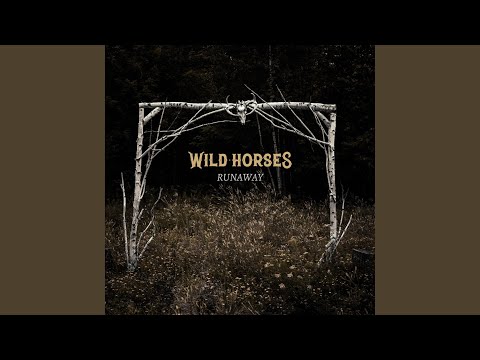 Man In The Mirror - Wild Horses