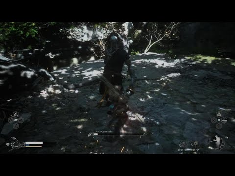 Black Myth: Wukong beetle sensei