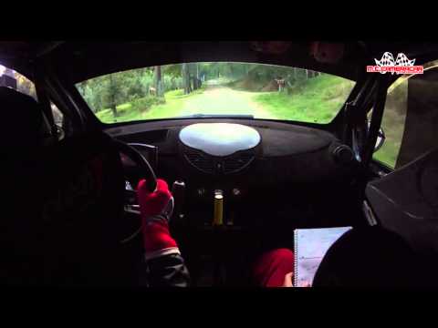 Rally di Reggello 2015  Cadelano - "Frenkie"  Renault Twingo R2/B