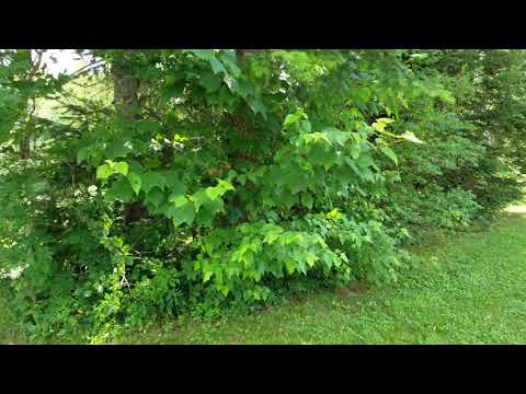 A walk along the riverside sites, starting around R3. I apologize for the jerkiness of the video...this was an early attempt. Sites 8 & 9 are open to all campers, to enjoy the river, so has a swing, extra picnic tables, chairs, etc.