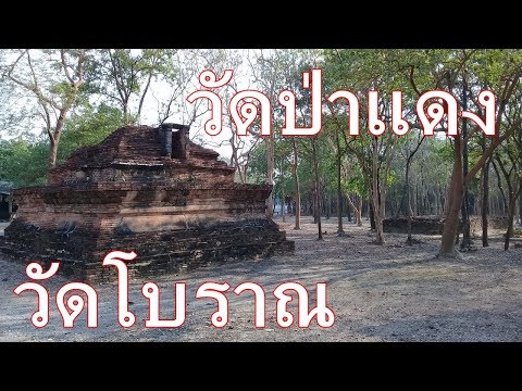 วัดป่าแดง