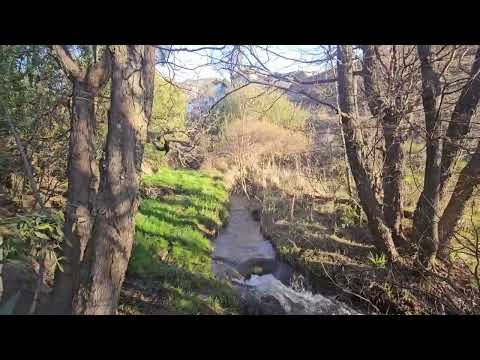 Lote 500 mts2 en B.las Nalcas, San Martin de los andes. Todos los servicios y acceso a arroyo