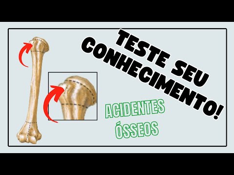 ACIDENTES ÓSSEOS DO ÚMERO - Corpo Quiz