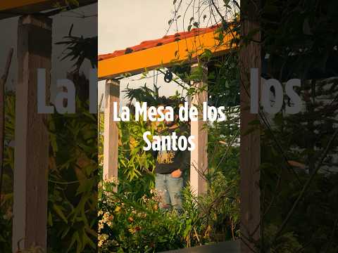 La luz dorada de Los Santos. #lamesadelossantos #santander #colombia