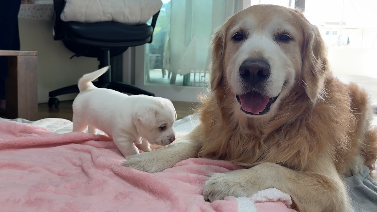 object-cover transition-all