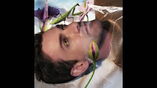 Promiscuity Music Video