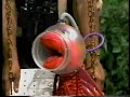 Sesame Street Wanda The Fish At The Playground