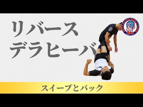 リバースデラヒーバ　スイープとバック