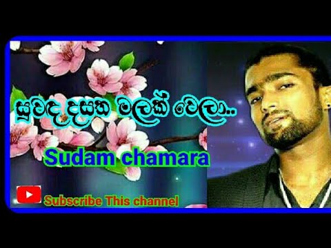 Suwada dasatha malak wela ... සුවඳ දසත මලක් වෙලා.... song Sudam chamara