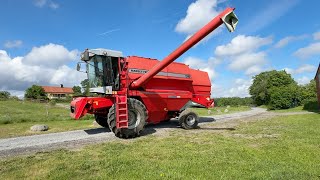Massey Ferguson 36 cosechadora de cereales | Imagen 4 - Agroline