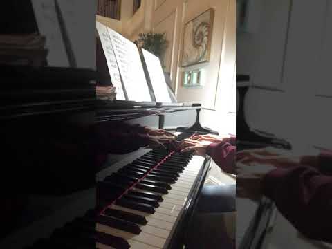 A Shine Upon Inkwater Marsh