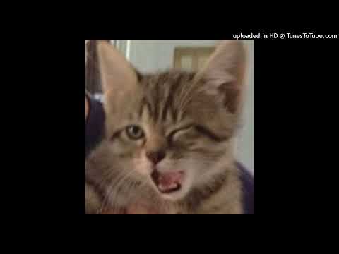 [free] elxnce + 4am + kurai type beat (prod breakupbreakdown)