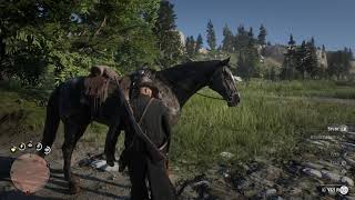 Red Dead Redemption 2 - Stranger Encounter: Horse Thief Steals Arthur&#39;s Horse Gameplay (2018)